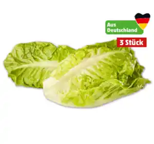 Deutsche Romana Salatherzen*