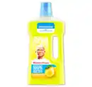 Bild 1 von MEISTER PROPER Citrusfrische*