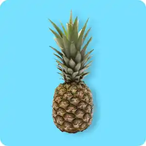   Ananas, Ursprung: Costa Rica