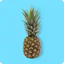 Bild 1 von   Ananas, Ursprung: Costa Rica