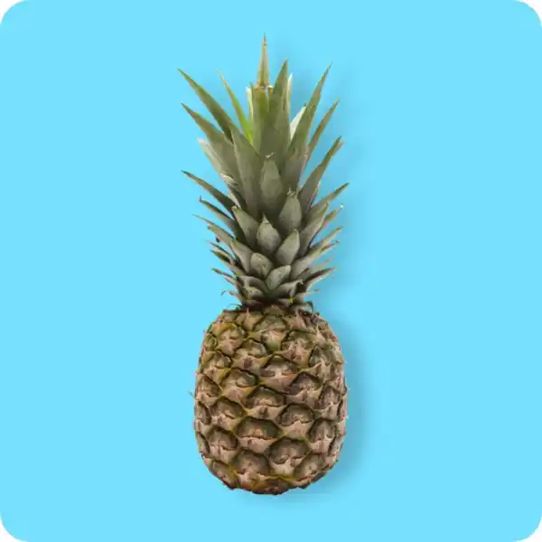 Bild 1 von   Ananas, Ursprung: Costa Rica
