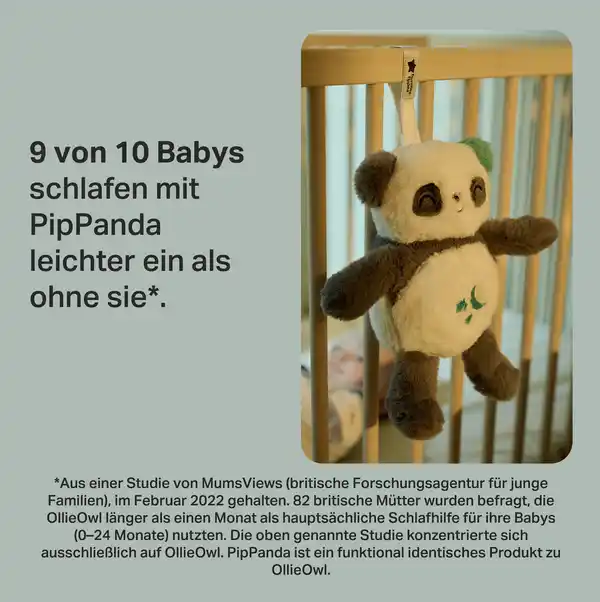 Bild 2 von tommee tippee Pip der Panda Einschlafhilfe