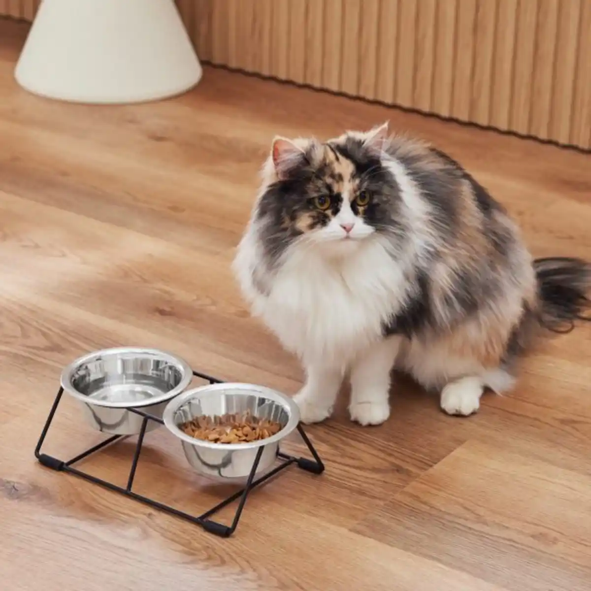 Bild 4 von CACHET&ROMEO Futternäpfe