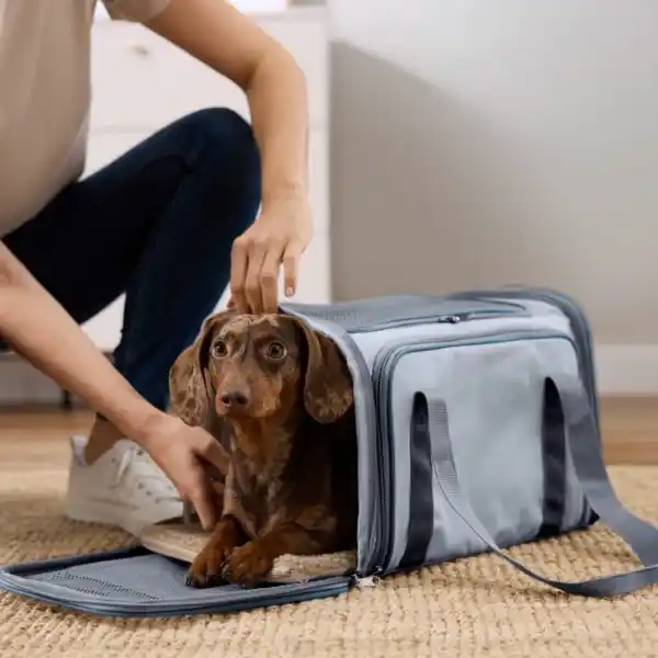 Bild 4 von CACHET&ROMEO Tier-Rucksack / -Tragetasche