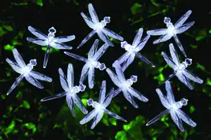 Lichterkette Solar 24 LED weiß Libelle