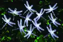 Bild 1 von Lichterkette Solar 24 LED weiß Libelle