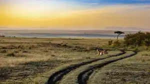 Namibia - Bus-Rundreise - Sossusvlei, Etosha & Safari Highlights
