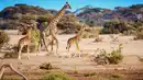 Bild 1 von Rundreisen Tansania & Kenia: Auf Safari zu den Big Five & Entspannung am Palmenstrand