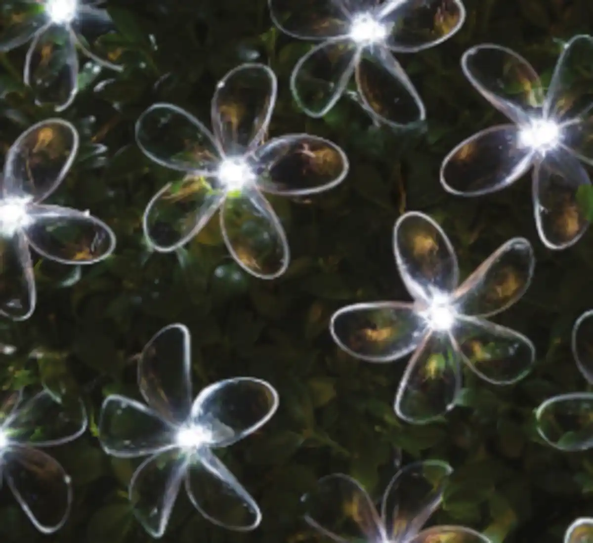 Bild 1 von Lichterkette Solar 24 LED weiß Blume