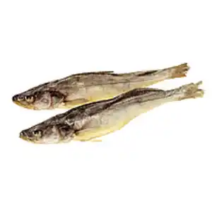 Zander, mit Kopf und Schwanz, ausgenommen, gesalzen und getr...