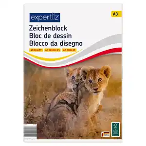 EXPERTIZ Zeichenblock A3