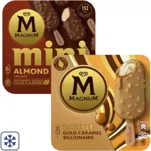 Magnum Multipack Eis