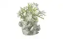 Bild 3 von HOME STORY Vase 3D Muschel   ¦ creme ¦ Steinzeug ¦ Maße (cm): H: 12  Ø: 18.5 Dekoration > Vasen - Möbel Kraft