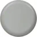 Bild 1 von Speiseteller