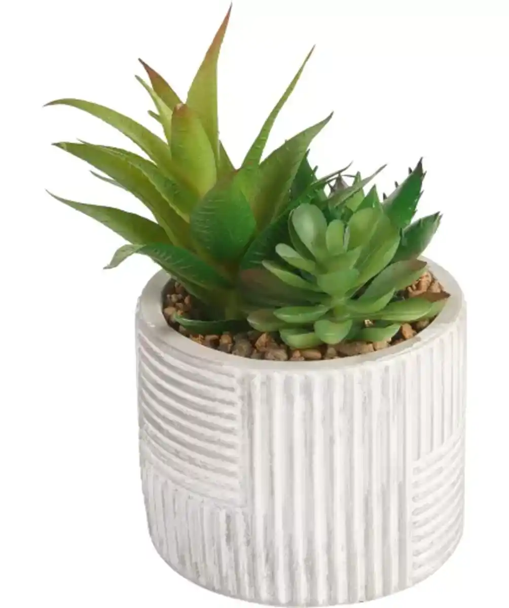 Bild 1 von Kunstpflanze Sukkulente, grau