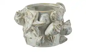 HOME STORY Vase 3D Muschel   ¦ creme ¦ Steinzeug ¦ Maße (cm): H: 12  Ø: 18.5 Dekoration > Vasen - Möbel Kraft