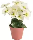 Bild 1 von Kunstblume Frühling, weiß