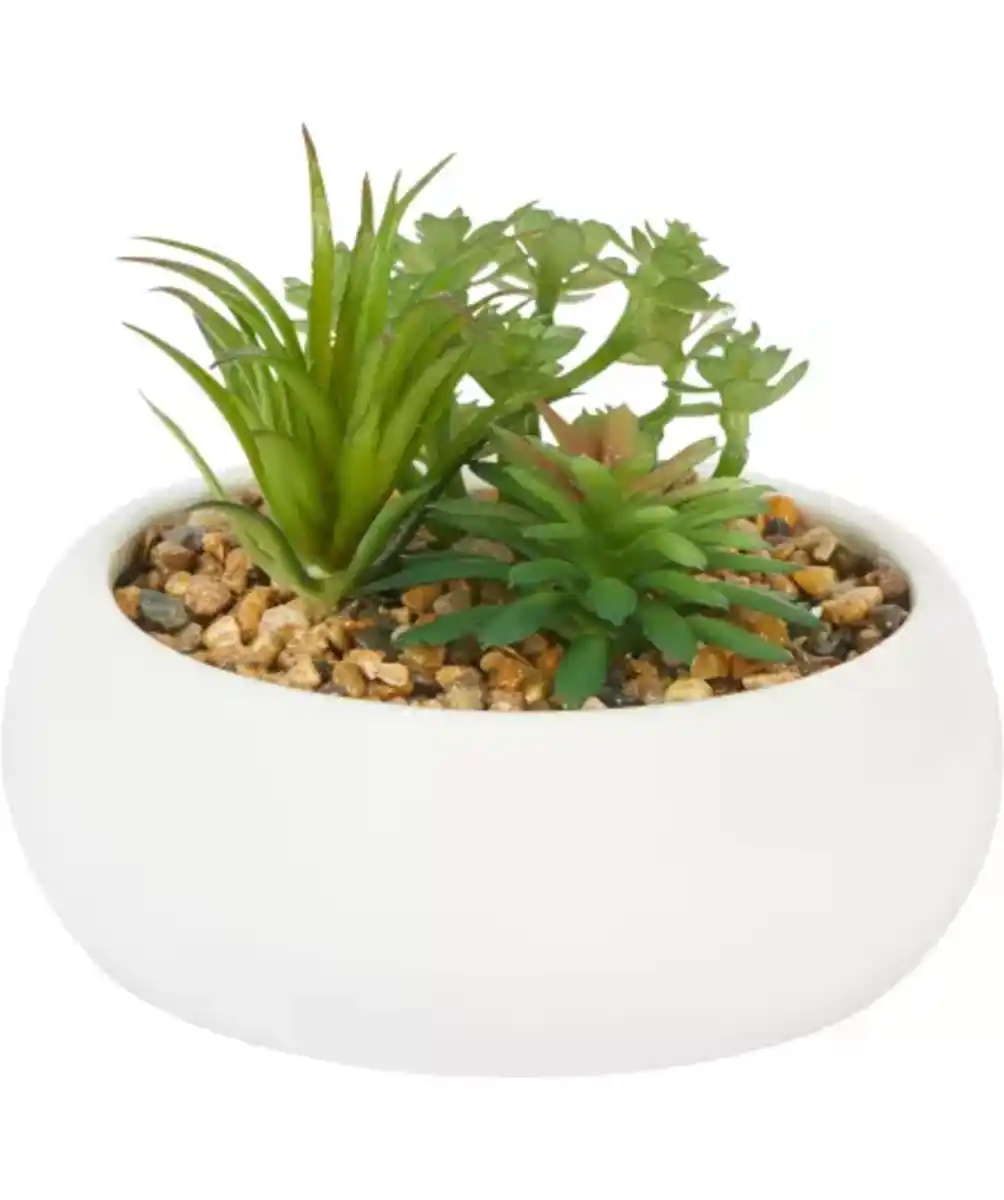 Bild 1 von Kunstpflanze Sukkulente, weiß