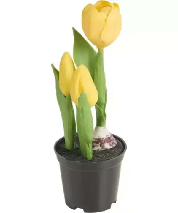 Bild 1 von Kunstblume Frühling, gelb