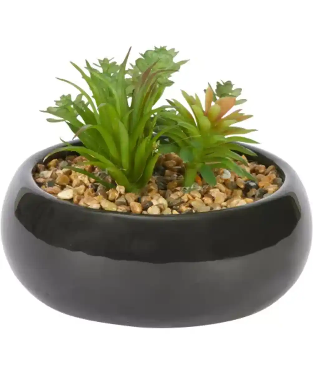 Bild 1 von Kunstpflanze "Sukkulente", schwarz