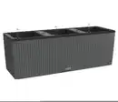 Bild 1 von LECHUZA® Polyrattan-Kasten Trio Cottage, rechteckig