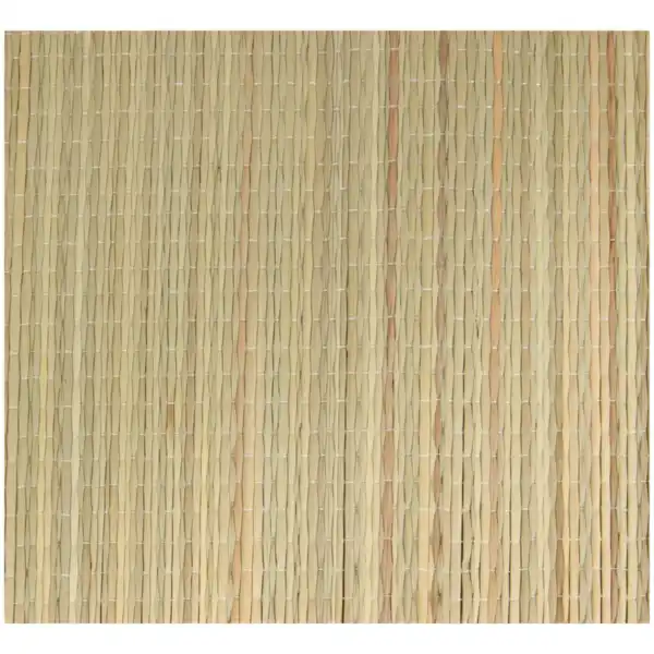 Bild 2 von Strandmatte