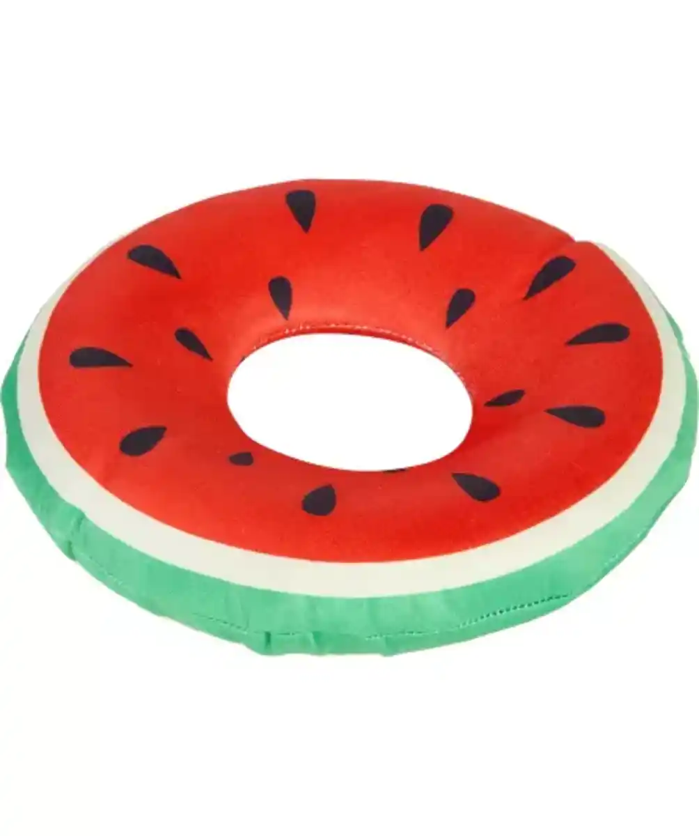 Bild 1 von Wasserspielzeug für Hunde, bunt