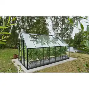 Halls Gewächshaus 'Universal 148' 446 x 257 cm mit 3 mm Blankglas schwarz