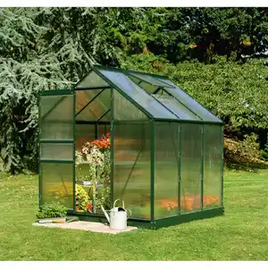 Halls Gewächshaus 'Popular 66' 193 x 195 cm mit 4 mm Doppelstegplatten grün