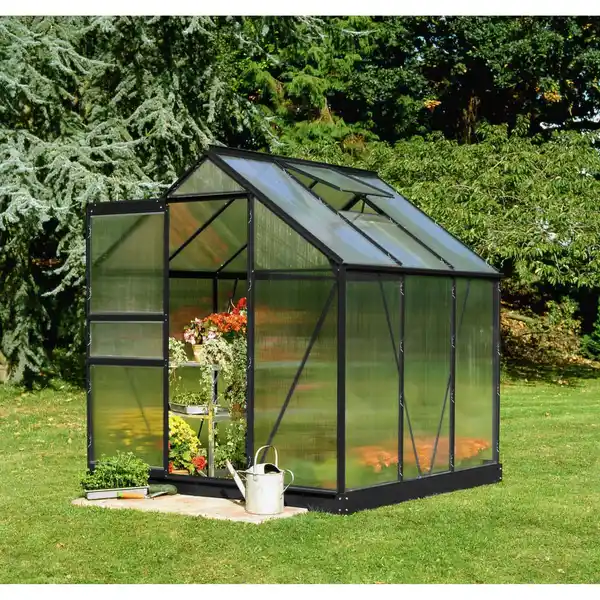 Bild 1 von Halls Gewächshaus 'Popular 66' 193 x 195 cm mit 4 mm Doppelstegplatten schwarz