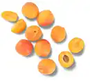 Bild 1 von Span./ital. Bio-Aprikosen, 500-g-Schale