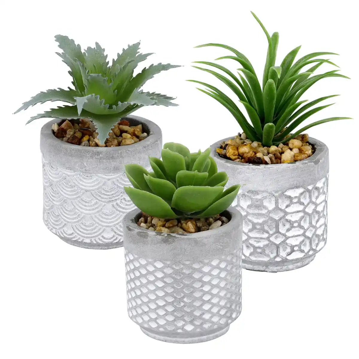 Bild 1 von Deko-Sukkulenten, 3-St.-Packg.