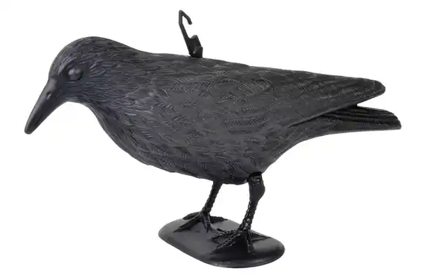 Bild 1 von GARDIGO Taubenabwehr-Krähe