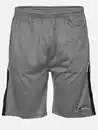 Bild 1 von Herren Trainingsshort Grau