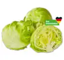 Bild 1 von Deutscher Eisbergsalat