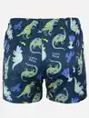 Bild 2 von Jungen Badehose mit Dinos Grau