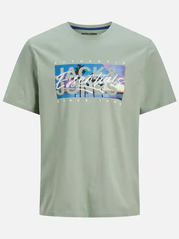 Bild 1 von Jack&Jones Junior JJCOLTON PHOTOPRINT T T-Shirt Grün