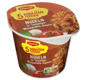 MAGGI 5 Minuten Terrine*