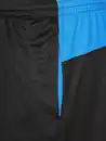Bild 4 von Herren Trainingsshort Schwarz
