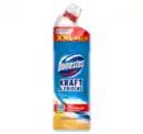 Bild 1 von DOMESTOS WC-Gel*