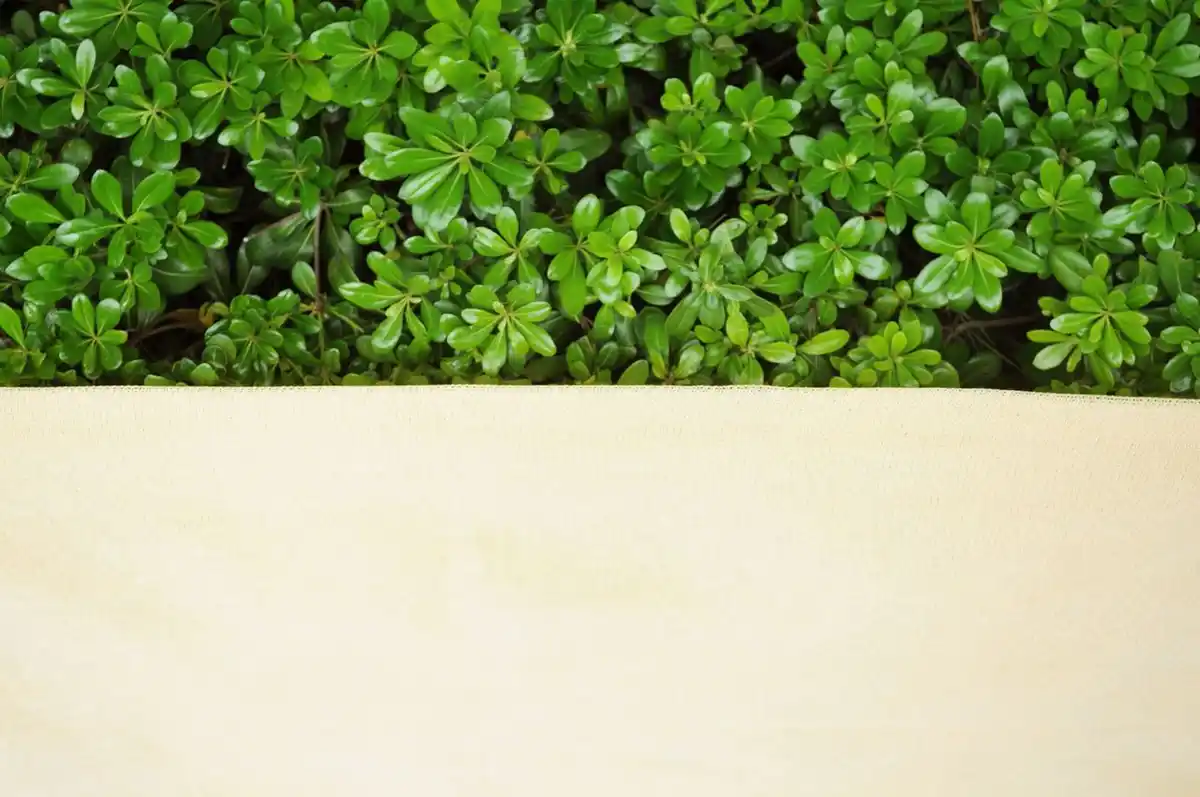 Bild 4 von Schattierungsnetz Sonnensegel, ca. 1,83 x 5 m