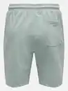 Bild 2 von Only&Sons ONSNEIL LIFE SWEAT SH Sweatshorts Grau