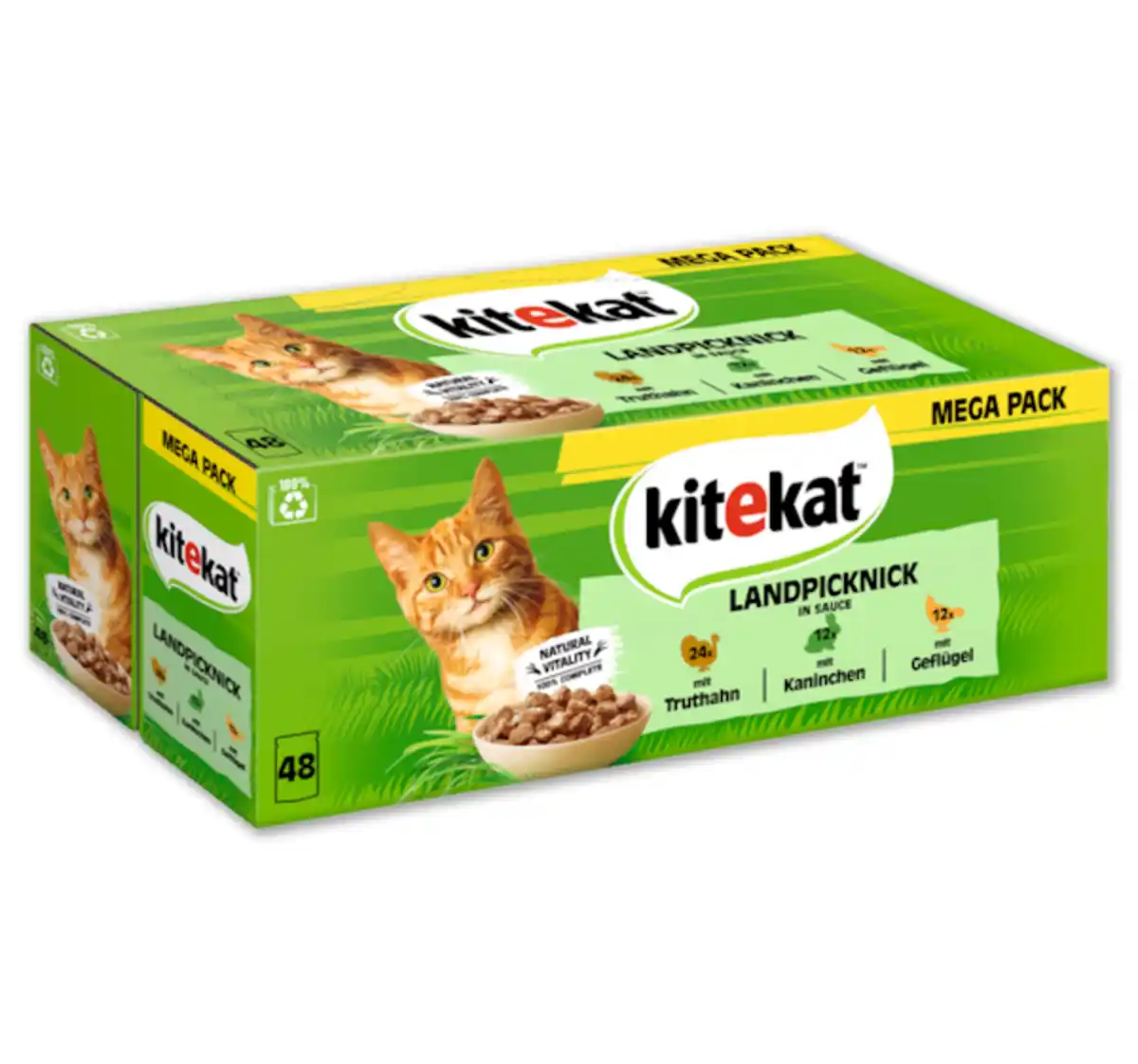 Bild 1 von KITEKAT Landpicknick*