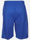 Bild 2 von Herren Trainingsshorts Blau