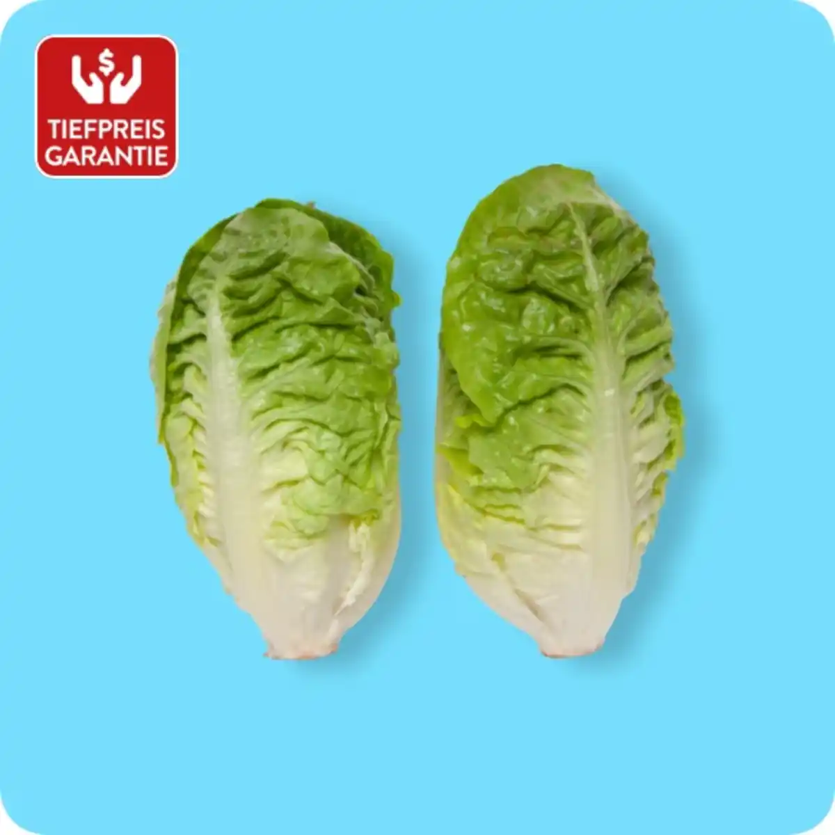 Bild 1 von BESTES AUS DER REGION Salatherzen "Mini-Romana", Ursprung: Deutschland