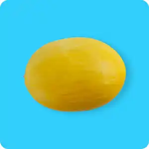   Honigmelone, Ursprung: Spanien