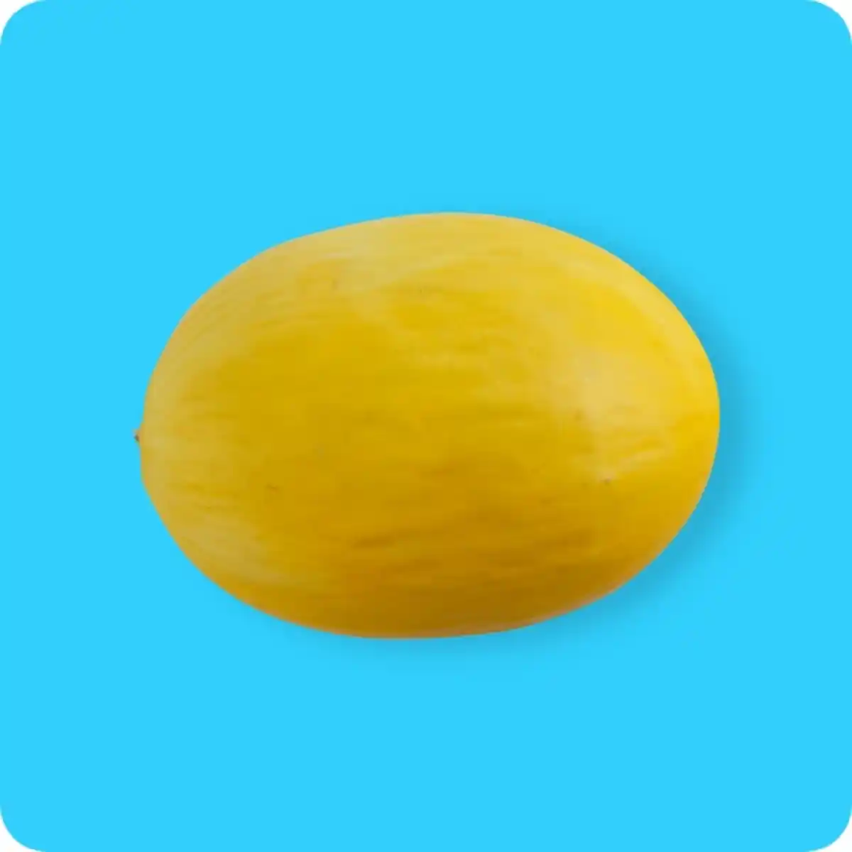 Bild 1 von   Honigmelone, Ursprung: Spanien