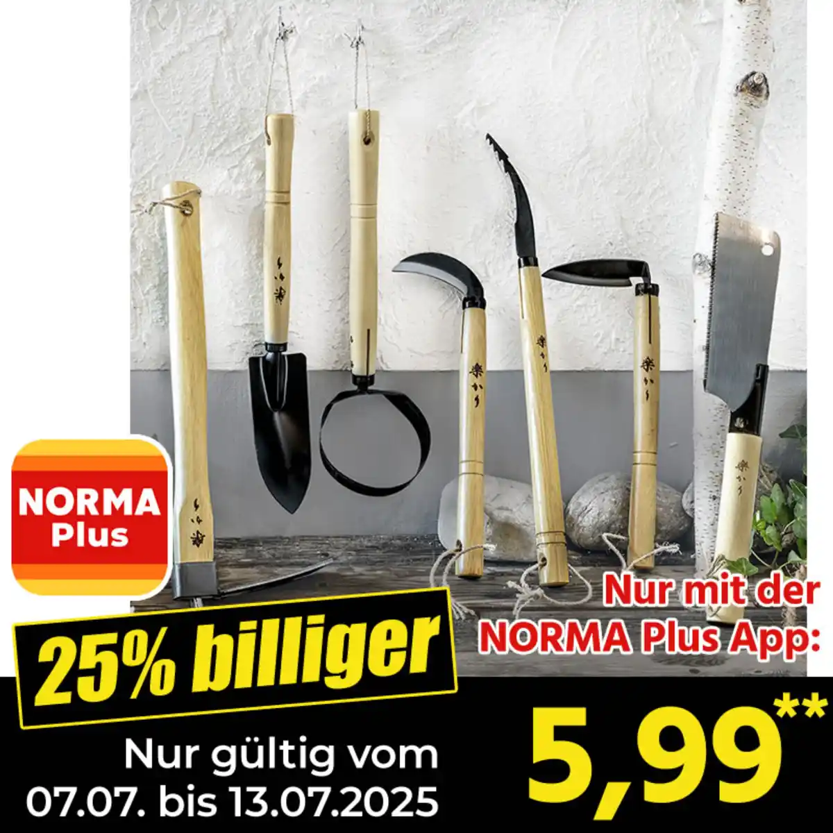 Bild 1 von Powertec Garden Japangeräte "Raito"