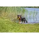 Bild 2 von Hundespielzeug, 20 cm/36 cm, schwimmt/floatable, gelb/orange
