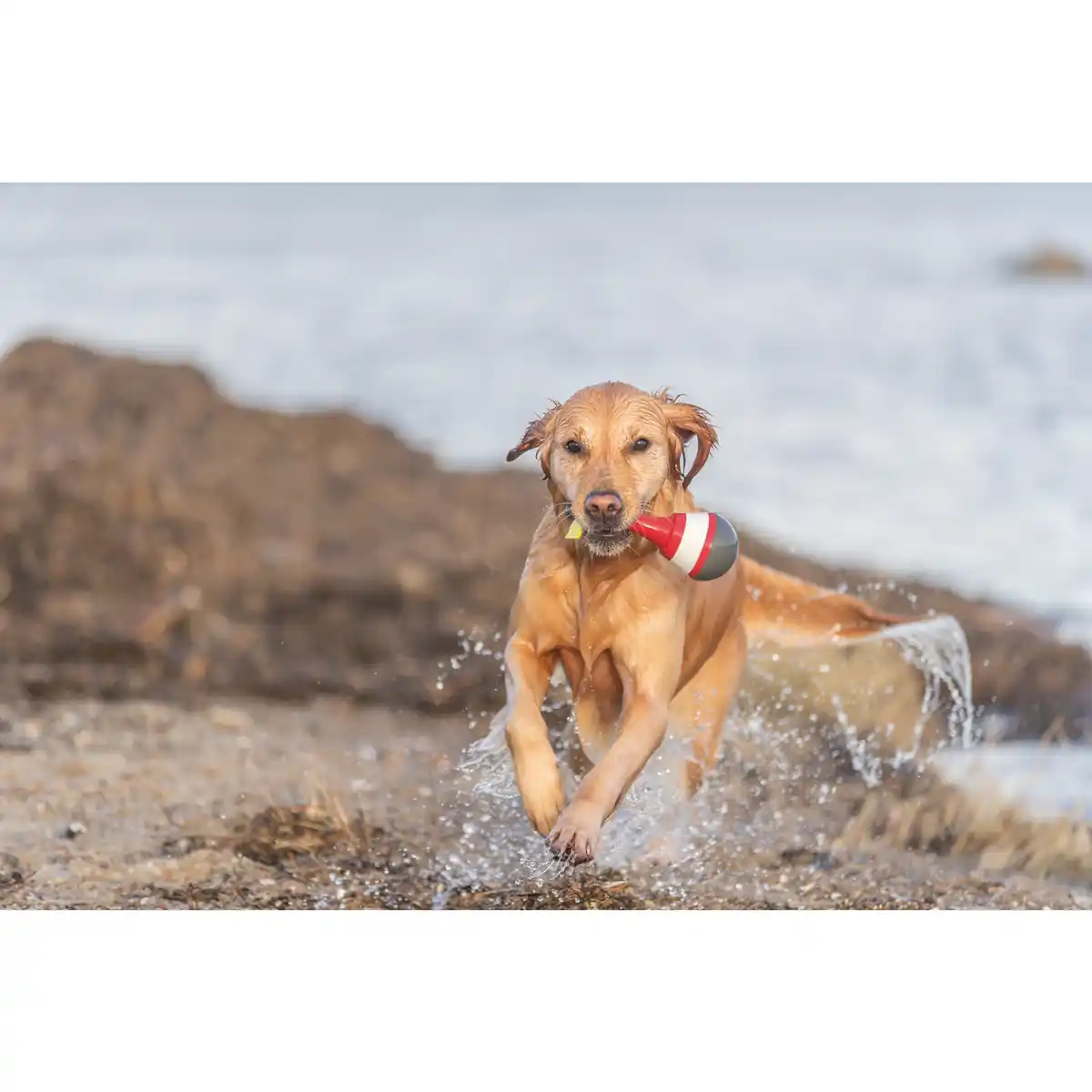 Bild 2 von Hundespielzeug, 19 cm, mit Leckerlis befüllbar, TPR, rot/weiß/grau